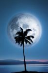 Dreamland