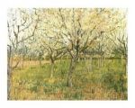 The Orchard