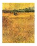 Oat Field