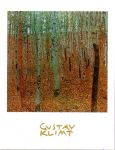 Forest of Beeches