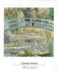 Water Lilly Pond