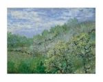 Baume in Blute