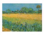 View of Arles