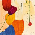 Tulpen