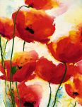 Roter Mohn II