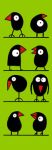 Two by Two Two by Two