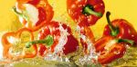 Paprika Paprika
