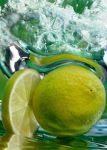 Limone Limone