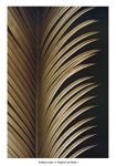 Tropical Leaf Study I