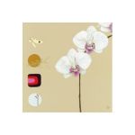 Orchid