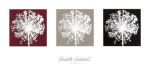 Alium