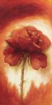 Roses II