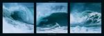 Waves in Motion