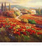 Poppy Fields