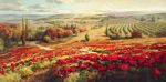 Red Poppy Panorama