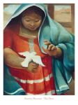 The Dove