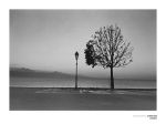 Lac Leman
