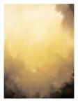Golden Wonders