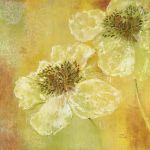 Mystique Poppy II