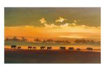 Wading Elephants