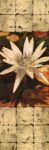 Waterlily Panel 1