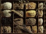 Grain and Rice Grain and Rice