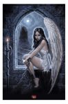 ANIO� W KAJDANACH