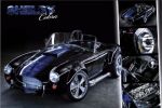 AUTO COBRA
