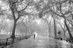 Poets Walk