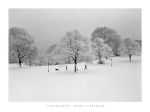 Park Trees