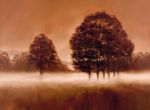 Misty Meadow
