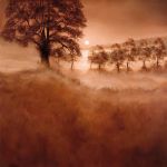 Misty Morning