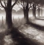 Path by Field