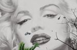 MARYLIN MONROE W CANNES
