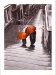 Bristol Rain
