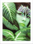 Amazona Jungle