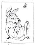 Thumper