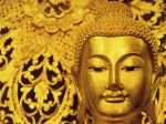 BUDDA