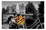 AMSTERDAM AMSTERDAM