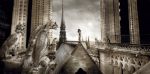Katedra Notre Dame