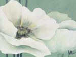 Poppy in Green 1  +