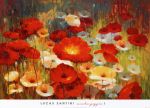 Meadow Poppies 1  +