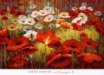 Meadow Poppies 2  +
