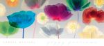 Poppy Panorama  +