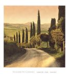 Country Lane  +