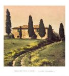 Tuscan Farmhouse  +