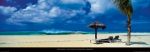 Caraiby + Caraiby +
