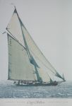 Lulworth Racing + Lulworth Racing +