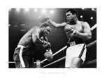 Muhammad Ali Champion  +