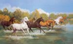 Stampede  +
